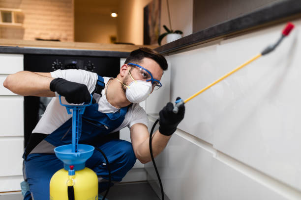 Best Mosquito Control Services  in Jamestown, CA