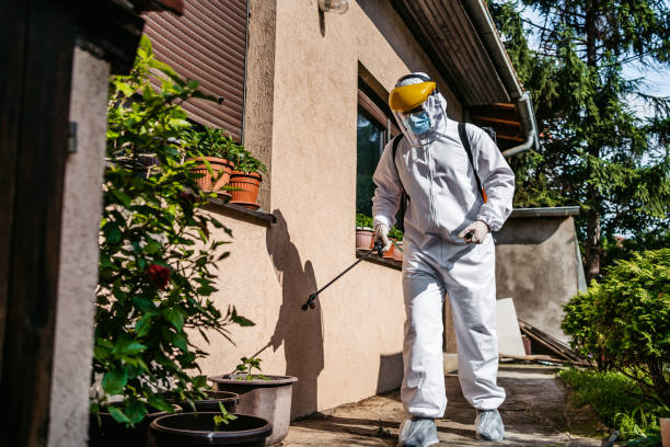 Best Termite Control Services  in Jamestown, CA