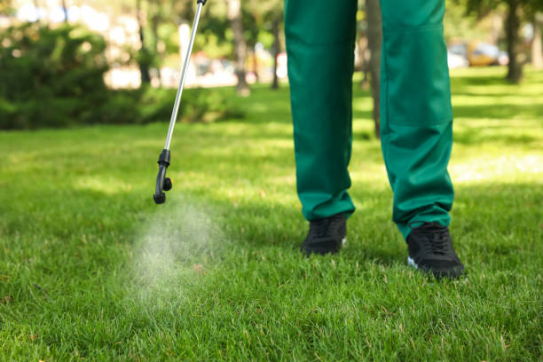 Best Best Pest Control Companies  in Jamestown, CA
