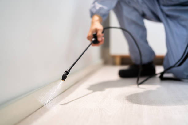 Trusted Jamestown, CA Pest Control Experts