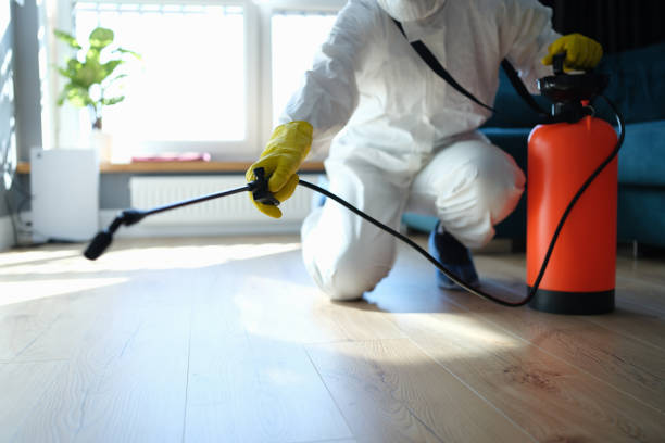 Insect Control in Jamestown, CA
