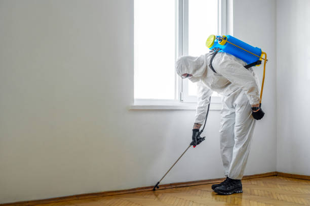 Best Exterminator Services  in Jamestown, CA