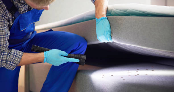 Best Best Pest Control Companies  in Jamestown, CA
