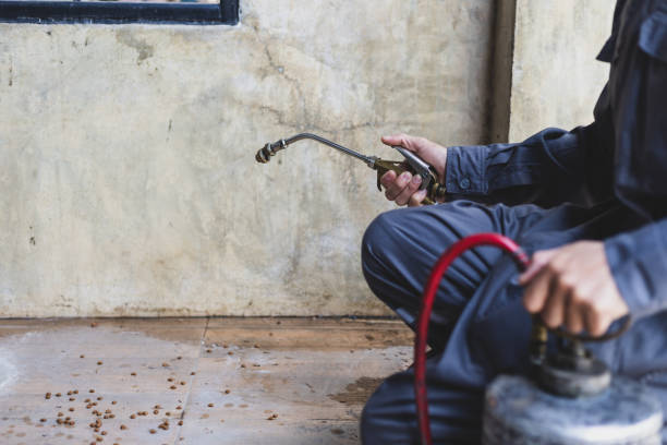 Best Pest Control Cost  in Jamestown, CA
